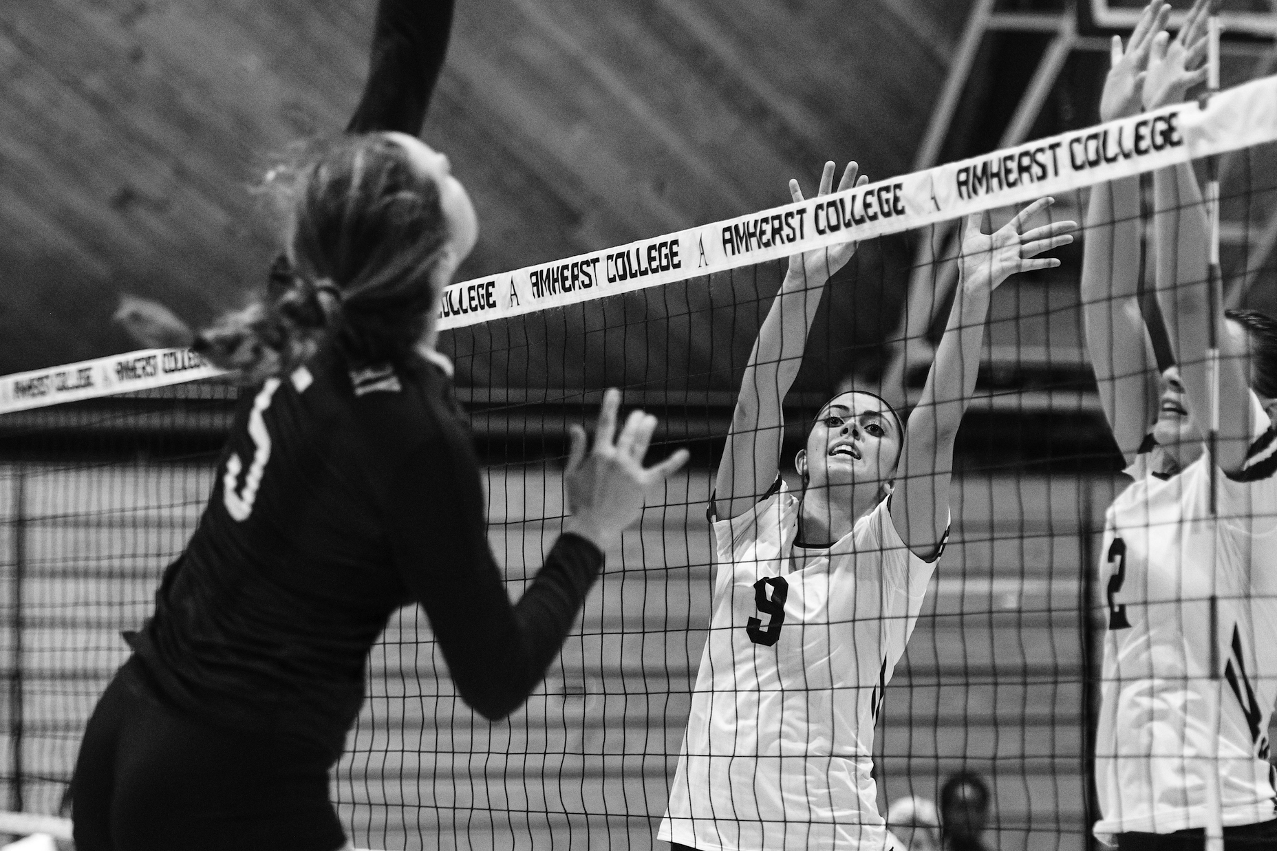 Volleyball Hosts Hall of Fame Invite, Win Two, Lose One over Weekend